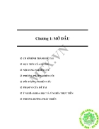 Bước đầu áp dụng hệ thống quản lý tích hợp tiêu chuẩn ISO 9001 2000 và ISO 14001 2004 vào công tác quản lý môi trường tại Quận Bình Tân