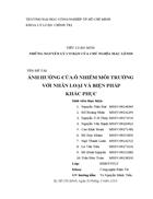 Ảnh hưởng của ô nhiễm môi trường với nhân loại và biện pháp khắc phục