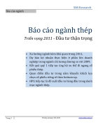 Báo cáo ngành thép Triển vọng 2011 Chiến lược đầu tư