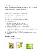 Tổ chức lễ hội với chủ đề Cơm nhà ngon hơn với Knorr tại công viên Lê Văn Tám vào ngày 26 12 và 27 12 để tăng doanh số Knorr trước và sau tết nguyên đán