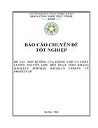 Ảnh hưởng của giống chè và chất lượng nguyên liệu đến hoạt tính kháng bacillus subtilis bacillus cereus và proteus sp