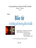 Bão từ và những ảnh hưởng đến trái đất