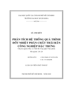 Phân tích hệ thống quá trình đốt nhiệt phân chất thải rắn công nghiệp đặc trưng đầy đủ