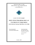 Phân tích tình hình cho vay tài trợ xuất nhập khẩu ngân hàng ngoại thương cần thơ