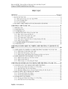 ĐTM dự án đầu tư nhà máy xử lý thô hạt cà phê 82 trang