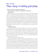 Bảo vệ rừng thực trạng và những giải pháp