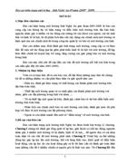 Báo cáo hiện trạng môi trường tỉnh Nghệ An giai đoạn 2005 2009 156trang