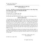 Tìm hiểu các tác nhân gây tổn thất năng suất cây cà chua trồng ở vùng Đơn Dương và Đức Trọng