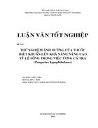 Thử nghiệm ảnh hưởng của thuốc diệt khuẩn lên khả năng nâng cao tỉ lệ sống trong việc ương cá tra Pangasius hypophthalmus