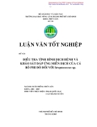 Điều tra tình hình dịch bệnh và khảo sát đáp ứng miễn dịch của cá rô phi đỏ đối với Streptococcus sp