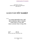 Xác định thời điểm thay thế trùn chỉ bằng thịt cá trong ương nuôi cá lăng nha Mystus wyckioides