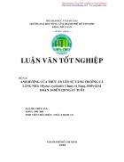 Ảnh hưởng của thức ăn lên sự tăng trưởng cá lăng nha Mystus wyckioides giai đoạn 24 đến 120 ngày tuổi