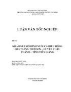 Khảo sát mô hình nuôi cá điêu hồng bè tại xã Thới Sơn huyện Châu Thành Tiền Giang