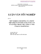 Thử nghiệm ảnh hưởng của thuốc diệt khuẩn lên khả năng nâng cao tỉ lệ sống trong việc ương cá tra Pangasius hypophthalmus