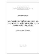 Nhận diện và giảm thiểu rủi ro tín dụng tại ngân hàng đầu tư và phát triển Lâm Đồng