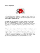 Minh triết của đời thường