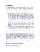 Vấn đề môi trường