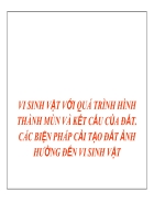 Quá trình hình thành mùn của vsv trong đất