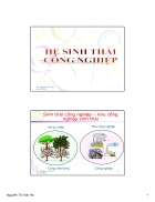 Sinh thái công nghiệp nguyễn thị vân hà