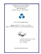 Nghiên cứu công cụ tin học phục vụ công tác đánh giá tác động môi trường đtm