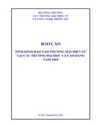 Tình hình đào tạo thương mại điện tử tại các trường đại học và cao đẳng năm 2010