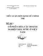 Cổ phần hóa các doanh nghiệp Việt Nam