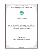 Một số yếu tố ảnh hưởng kết quả nuôi cấy tế bào biểu mô ống dẩn trứng và phản ứng hoạt hóa tinh trùng chó