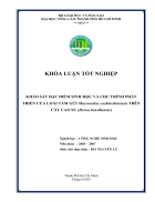 Khảo sát đặc điểm sinh học và chu trình phát triển của loài tầm gửi Macrosolen cochinchinensis trên cây cao su Hevea brasiliensis