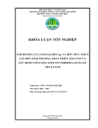 Ảnh hưởng của nấm Glomus sp và bốn mức phân lân đến sinh trưởng phát triển của bắp C919 và xác định nấm cộng sinh bằng kỹ thuật PCR