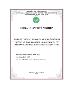 Khảo sát sự tác động của Auxin lên sự sinh trưởng và tổng hợp alkaloid của cây trường xuân hoa in vitro 92 trang