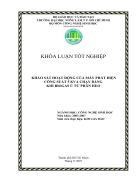 Khảo sát hoạt động của máy phát điện 5 KVA chạy bằng khí biogas ủ từ phân heo