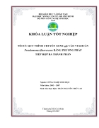 Tối ưu hóa quy tình chuyển gene gfp vào vi khuẩn Pseudomonas fluorescens bằng phương pháp tiếp hợp ba thành phần
