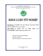 Nghiên cứu kỹ thuật tạo hạt nhân tạo từ phôi cây lan vanda và bước đầu khảo sát sự hiện diện của mycorrhiza trên một số giống lan