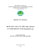 Buoc dau tao cay tieu Piper nigrum invitro khang nam Phytophthora sp