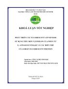 Phát triển các fluorescent atp sensor sử dụng tiểu đơn vị epsilon của phân tử f1 atpase synthase và các biến thể của green fluorescent protein