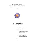 ΑAmylase