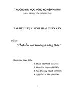 Ônhiễm môi trường ở nông thôn