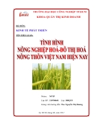 Tình hình nông nghiệp hóa đô thị hóa nông thôn Việt Nam hiện nay