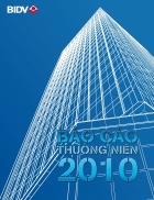 Báo cáo thường niên BIDV năm 2010