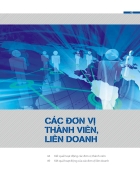 Báo cáo thường niên BIDV năm 2010