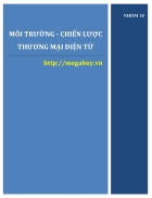 Phân tích chiến lược thương mại điện tử của Megabuy vn