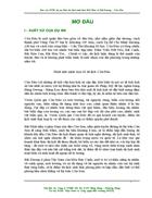 Đánh giá tác động môi trường của dự án Khu du lịch sinh thái Bãi Nhát Bãi Dương Côn Đảo tỉnh Bà Rịa Vũng Tàu