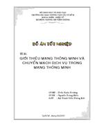 Giới thiệu mạng thông minh và chuyển mạch dịch vụ trong mạng thông minh