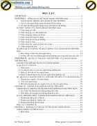 Giáo trình hướng dẫn tìm hiểu về nét nổi bật của kinh tế việt nam trong việc phát triển nền thương mại phần