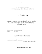 Giải pháp quản trị rủi ro trong sản xuất và xuất khẩu cà phê của việt nam