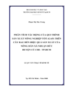 Phân tích tác động của qui trình sản xuất nông nghiệp tốt gap trên cây rau đến hiệu quả sản xuất của nông dân xã nhuận đức huyện củ chi tp hcm