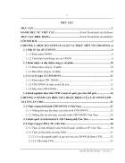 Đánh giá hiệu quả hoạt động của các Doanh nghiệp nhà nước cổ phần hóa tại Thành phố Cần Thơ