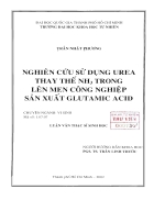 Nghiên cứu sử dụng urea thay thế nh3 trong lên men công nghiệp sản xuất glutamic acid