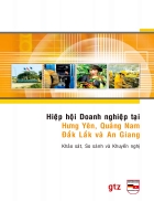 HIỆP HỘI DOANH NGHIỆP Khảo sát So sánh và Khuyến nghị