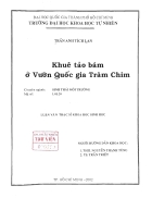 Khuê tảo bám ở vườn quốc gia tràm chim